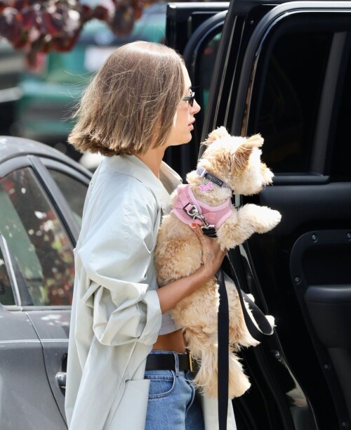 ba5bd29090ae6c0777dba2e77cdb6ac0