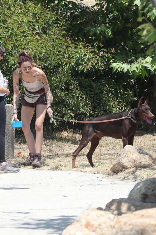 bc96904e02c0480d1455a3199e74d664