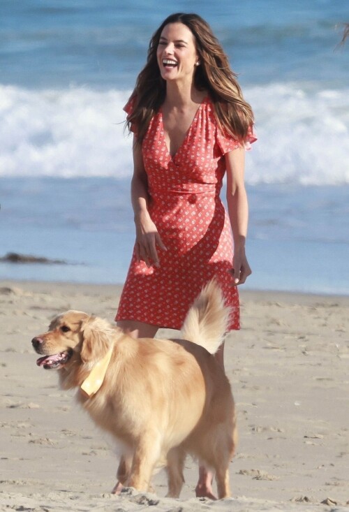 db07d186e2e2f81659a686b0dd988e33