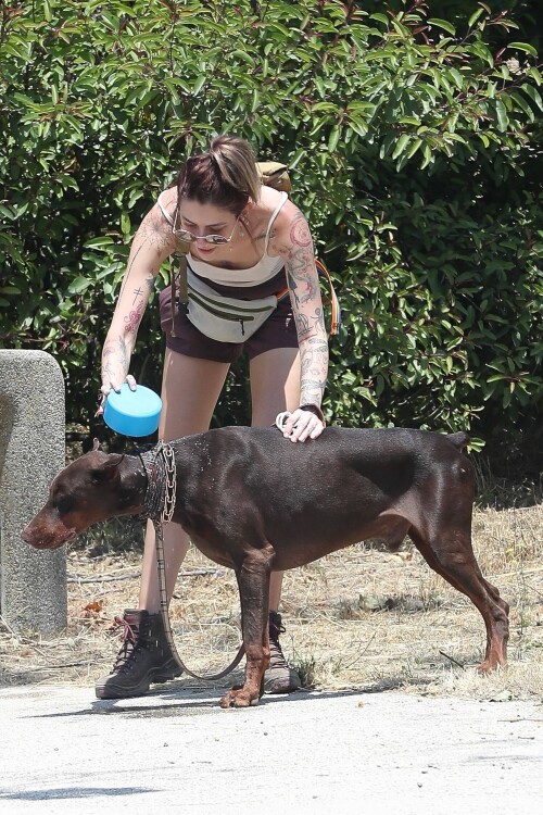 dd256d23133998ff442c1163fdf1737c