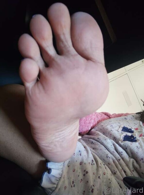 e53eafe4ef479546d4a8f979acbe7c0b