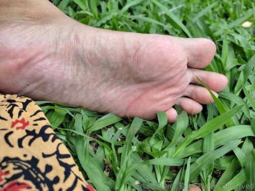 ed7d7ae315e8f3eb2f0639cb490b14a1