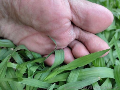 edc603629e91c5a091ea5f1e2162b6e6