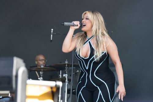 44ed5084a27791d8de8d78a748d34bbb