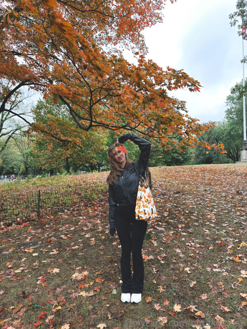 4c311a9d72ec063674e249c85fb2defd