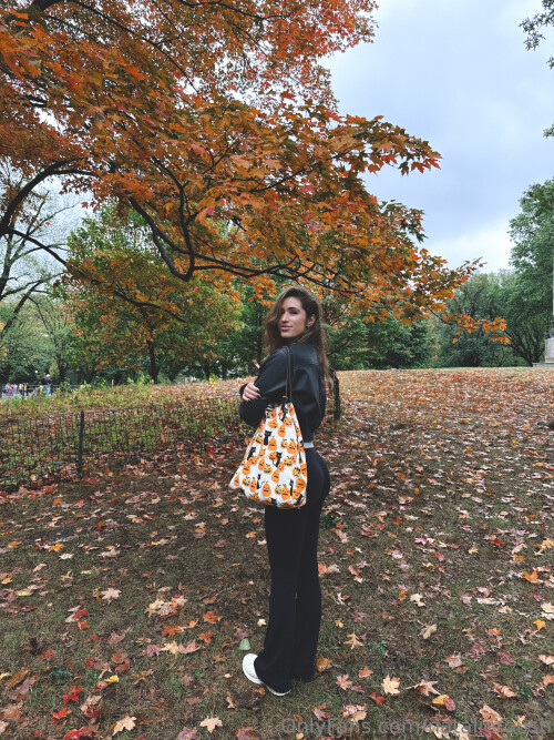 4db3dd3f4aa0312040a817e8b072ae6b