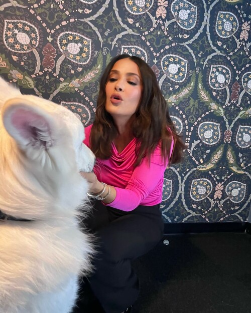 4fe73dd6a4a0a6d92bfd0c4b6ca7cd3d