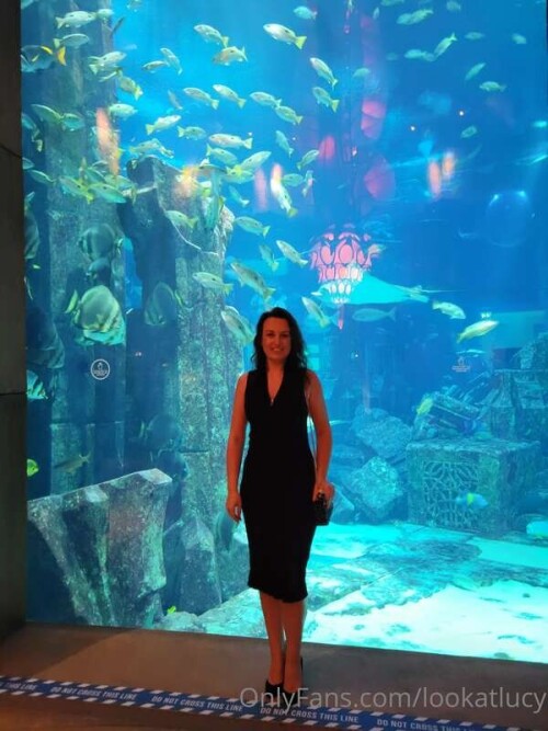 634a6afa636fbd896db5bc0dad38b55d