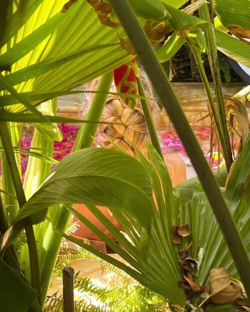 8f0b091acf22a79d56b0c57ba4adcadb