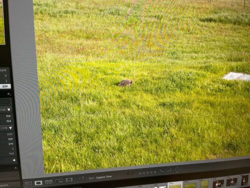 944271477063ccf0f1a3344798b69374