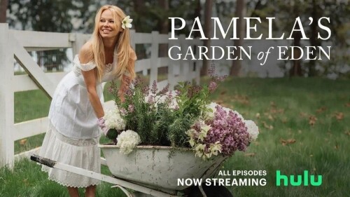 98dc32da071299974adf89c4f35d64f7