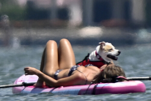 ac652494e9bfb627dfd3958bddedbe7c