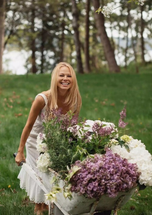 f34af4a0ccbf01b37f3b07443597c0bd