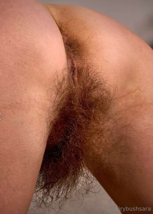 1afca664302b099b91651449ea5b12ee