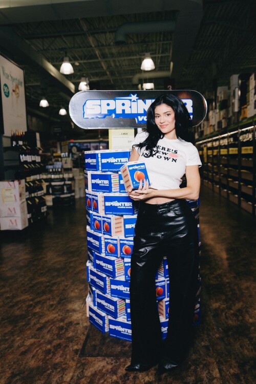 1bd7baaec6d0f4ed173c8dcad1ccdc48