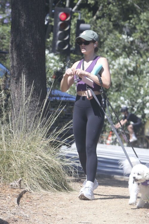 2e1a802e35b3733ae402e30538d2d16d