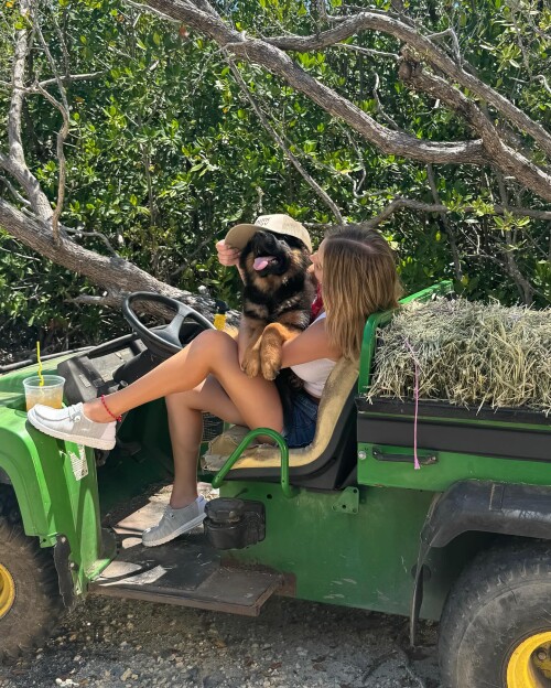 30bfb7f384a78e5f00b2dd182ba919fa