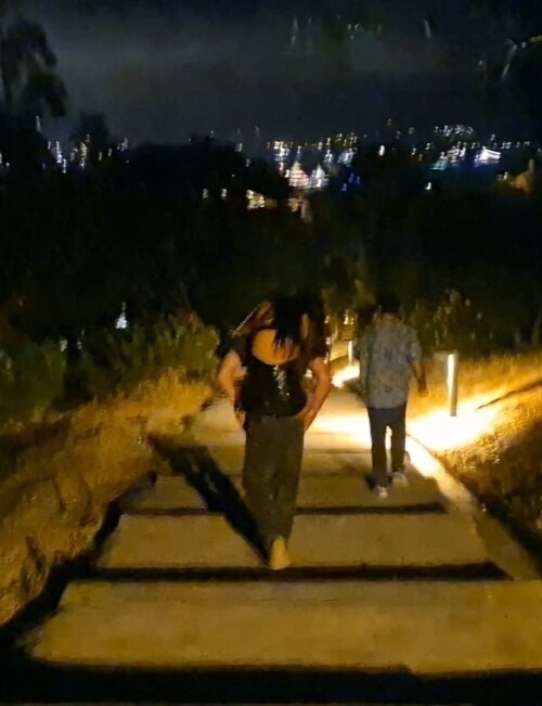 313c8a2231f5ce8bb441694c16303ca8