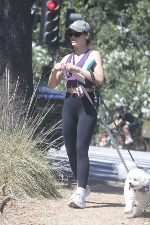 3abf0a2a48346b936102e0a30760fbad