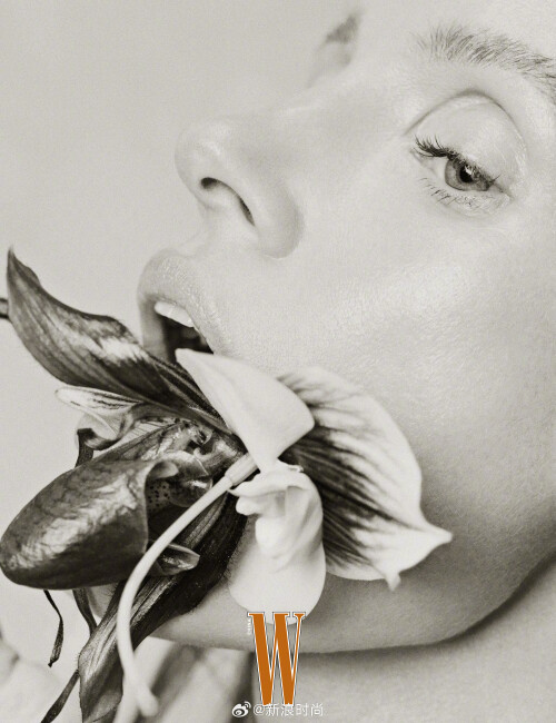 3b68fcb3c749c85afb6e1775af9e54dc