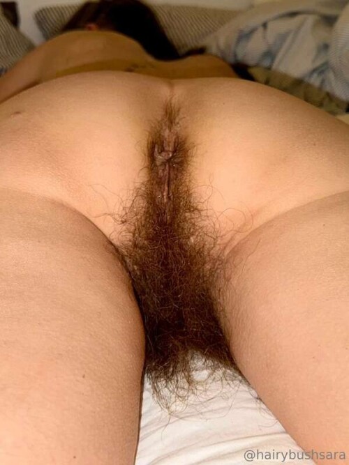 3de79b64378391ed66d9f3f5a03d9087