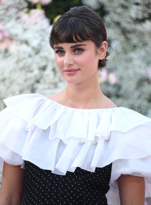 43a7efecede85d01d4a7e4d4cbea06d9