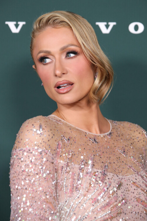 Mandatory Credit: Photo by Matt Baron/BEI/Shutterstock (14886089ha)Paris Hilton2024 Baby2Baby Gala Presented by Paul Mitchel, Los Angeles, California, USA - 09 Nov 2024