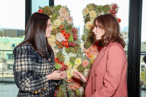 53d634d2d2c8a73705dc018f0553fdd5