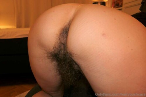 54c57c564f44522b33517c95b8a3d8dd