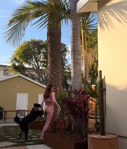 58045fee06e7cd2389e3567d1bad9089