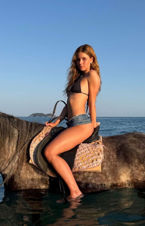 6aca0e8f039377b8dfa24d556db8a599