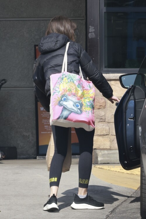 7e767d51db2b4782dfbf608076449305