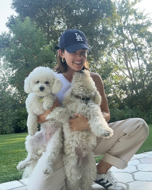 8a27086073b5c3bab4002b4d3c35eaef