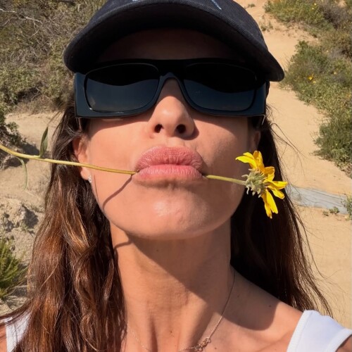 8b731bad5b207e1fe18f2365cf9ce578