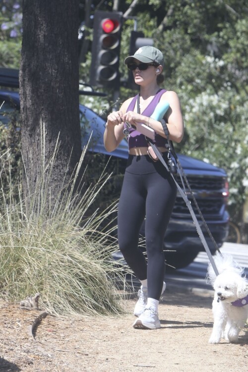 8e1252b65cdda036f0d616a30979e956