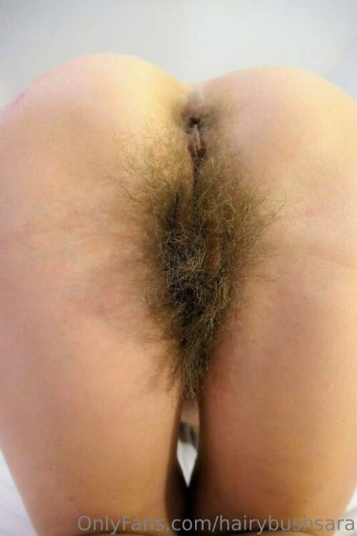 8eb2be212150eb5f7542003e11291e1b