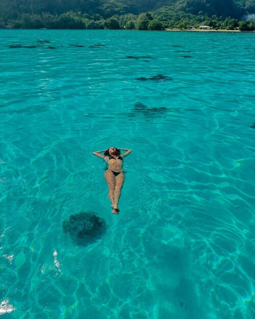 9013d365ee58e2877bd14fc879f5eaa0