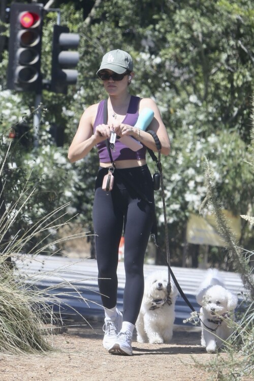 92e705fff23046824124bb0b1f794c5b