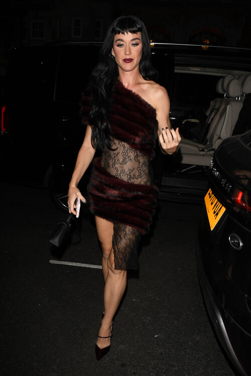 12 December 2024.Katy Perry & Orlando Bloom seen at a Private Members Club in MayfairPictured - Katy PerryCredit: RAW/TGB//GoffPhotos.com   Ref: KGC-102/870