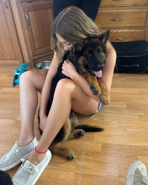 aa6cf3ec43e1e6be6c20353b388bb6df