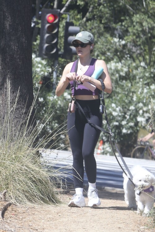 ae9e43c1e8f603db64473559fcf90517