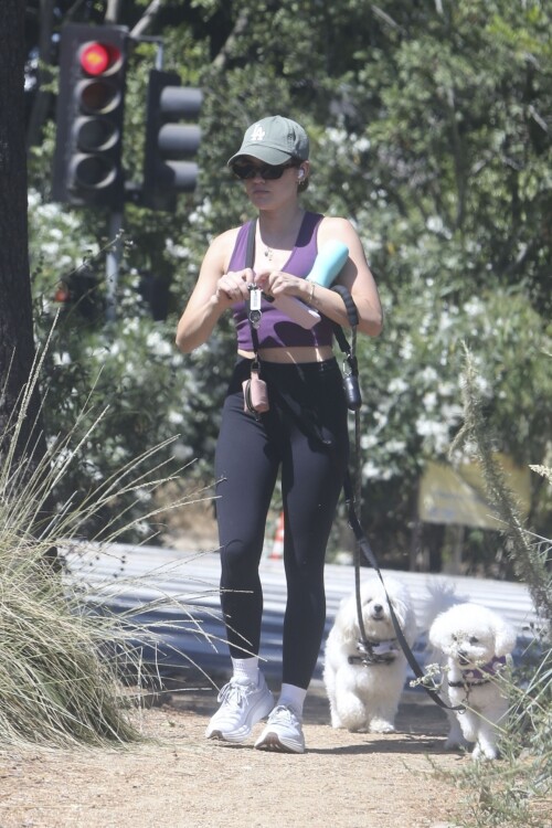 b12f4396e739ff4410f9c33a22917d9a