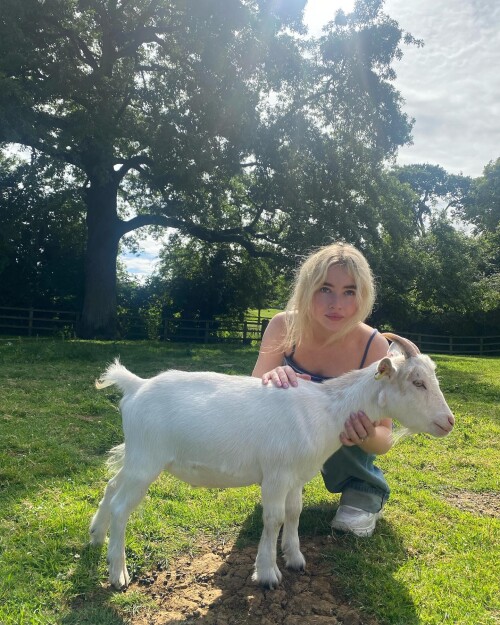 b75ee37c5677c8d8ab094bf3c6c0698e