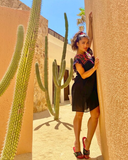 bd90cab7a82f7483b28953b2b227fca8