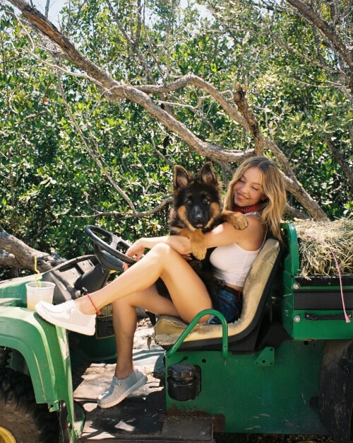 c1c117e89bc03b417337a3758fdbefcf