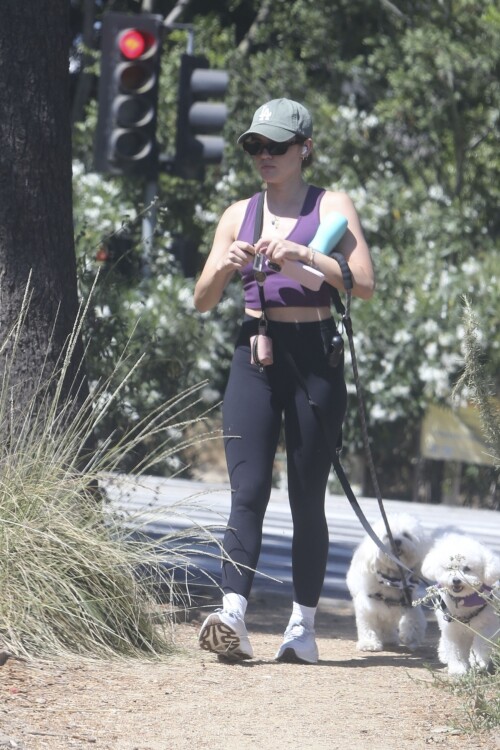 c93ad64ce84cf5b7b4018798e810f582