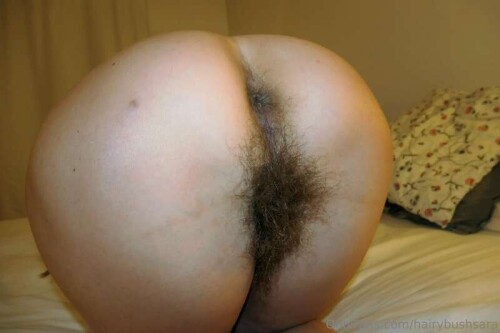 ca4111d7f204ea46201019a44b0ee874