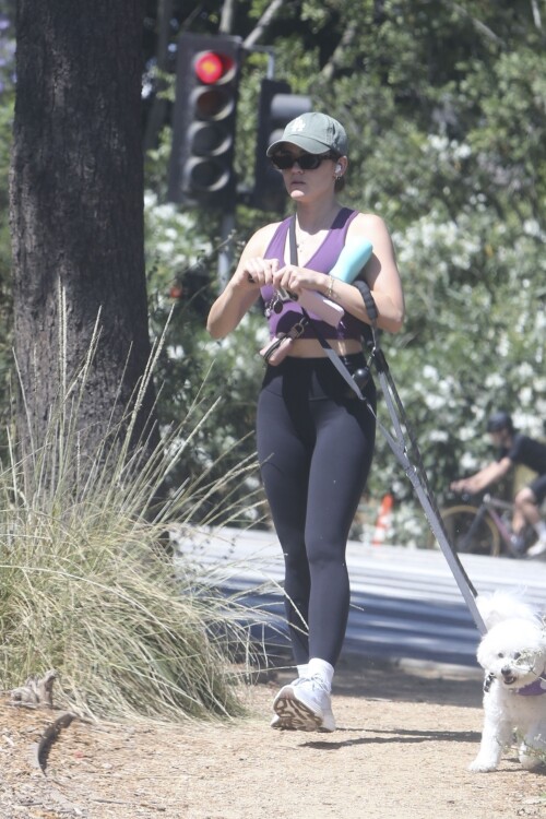 ce8539e82f7e349f3d36ebe839d5a085