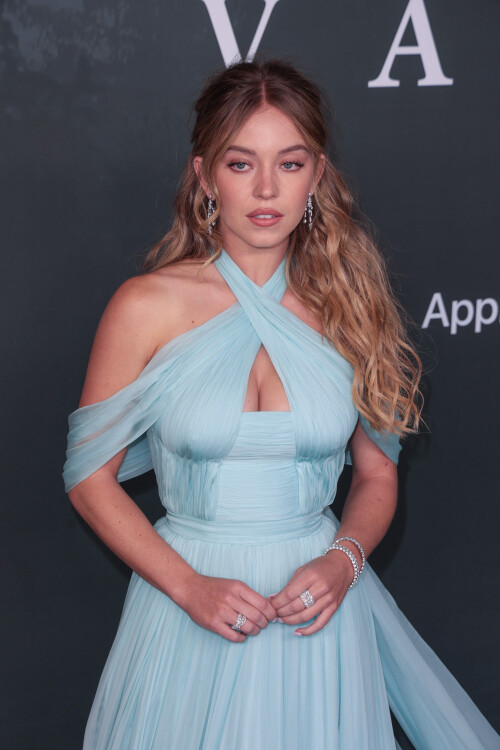 ceaf5029607473be83be96fa3e2a345b