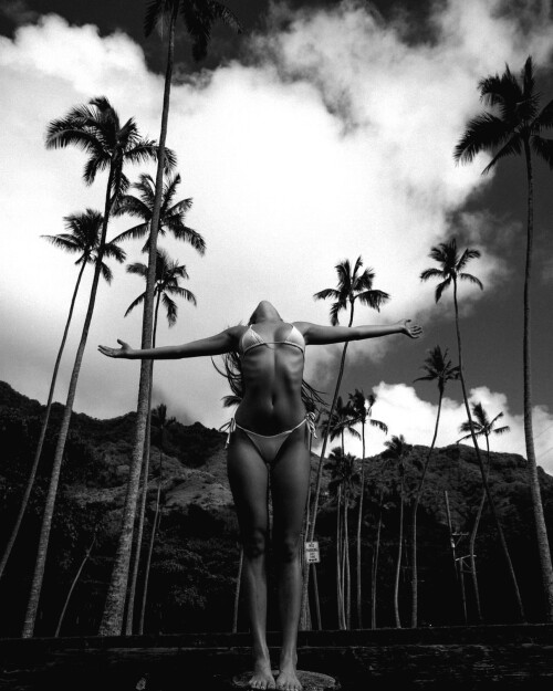 db17d49bd88a6216c6d9714d67dba277